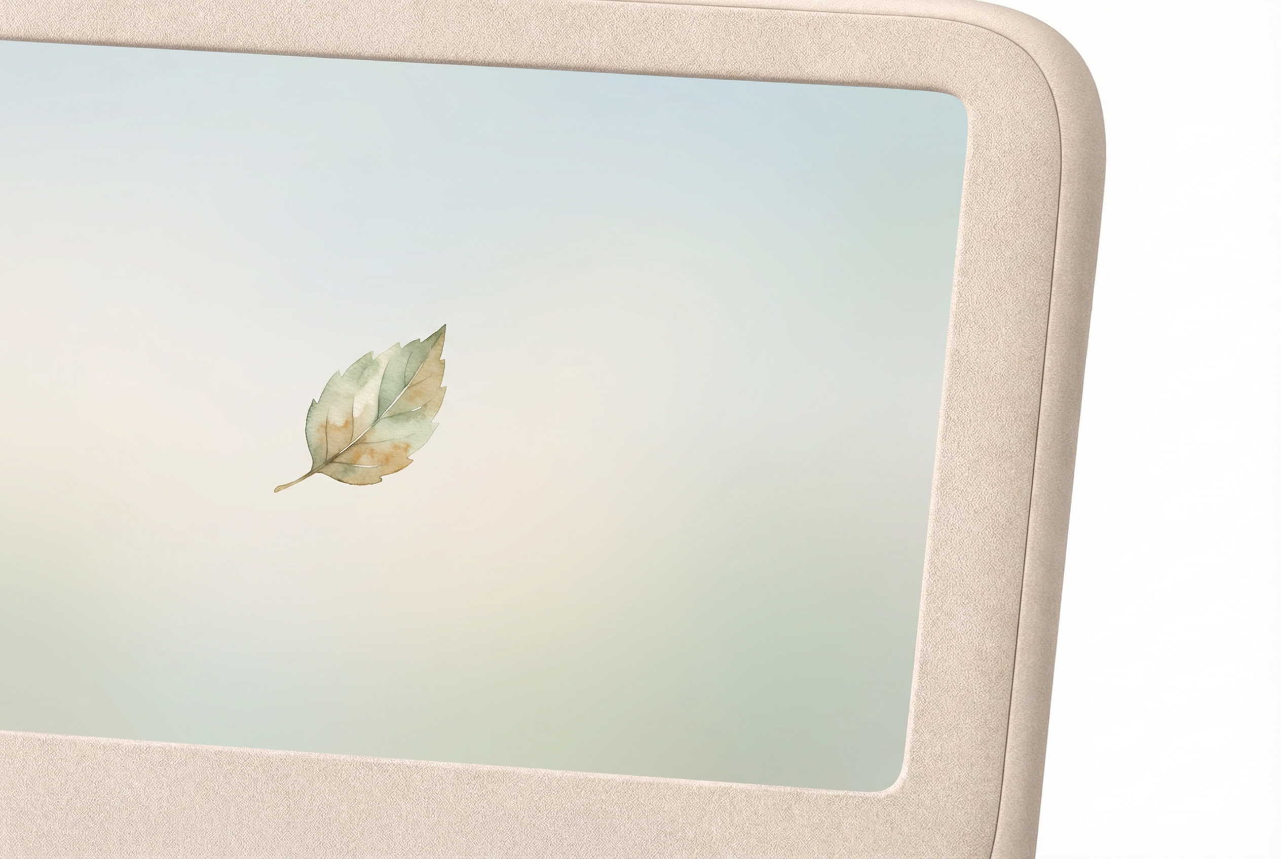 Ægis screen showing single watercolor leaf — calm, focused